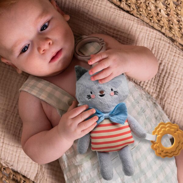 Taf Toys riputatav pehme kaisukas kass beebidele