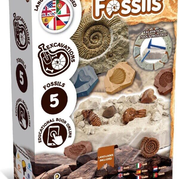 laste teaduskomplekt fossiilide väljakaevamise komplekt