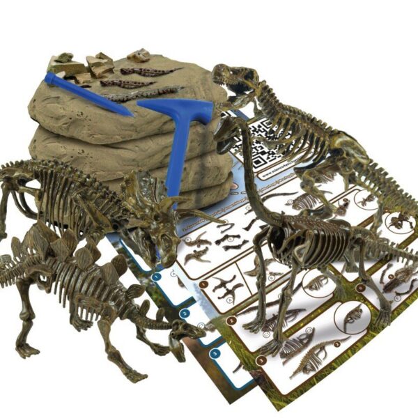 arendav laste teaduskomplekt dinosauruste väljakaevamise komplekt