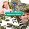 arendav laste teaduskomplekt dinosauruste väljakaevamise komplekt