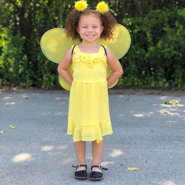 Great Pretenders laste mesilase tiivad