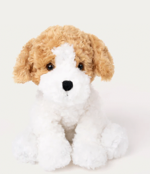 laste pehme kaisukas lokkiskarvaga helepruun koer