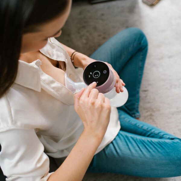 elektriline rinnapump