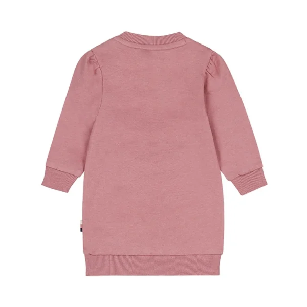 Dirkje beebide roosa kassiga kleit