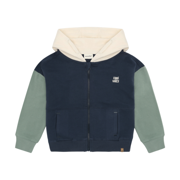 rohekas-sinakas poiste lukuga dressipluus