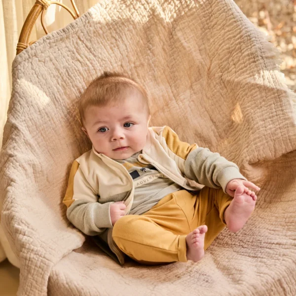 Beebide 3-osaline kollase ja rohelisega poiste komplekt