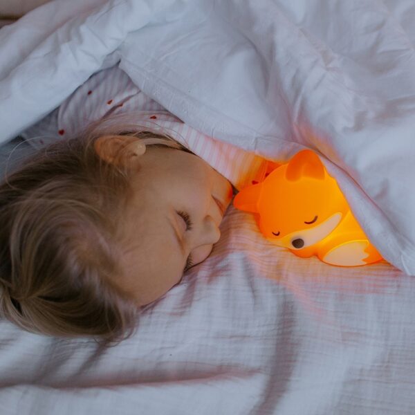 laste led öölamp rebane