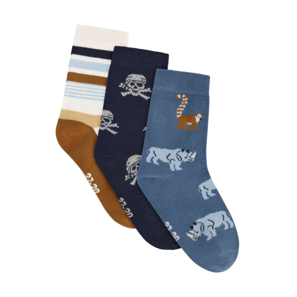 poiste sokkide komplekt