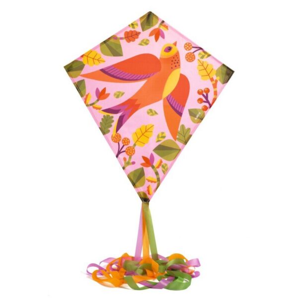 Djeco linnuga tuulelohe