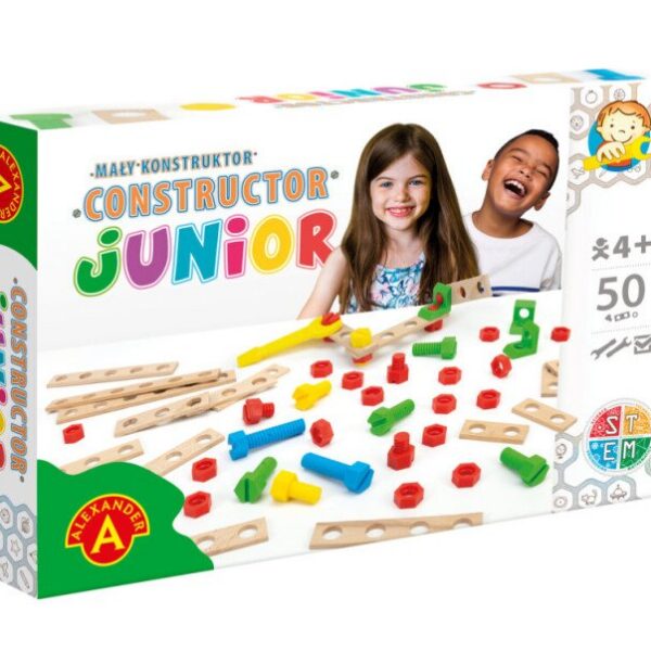 puidust konstruktor komplekt